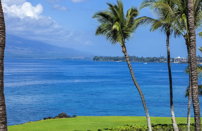 Kihei Surfside - Maui Condo & Home - Photo 21