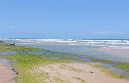 Portal Vida chalé na praia da Taiba - Foto 5