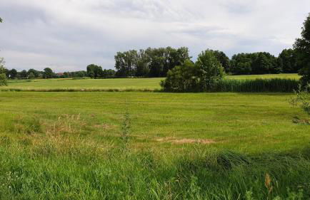 BIG Apartment BaLi - Foto 44