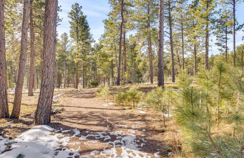 Trail Access On-Site! Wooded Colorado Springs Gem - Foto 2
