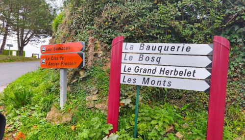 Toute une Histoire - Foto 5, Other