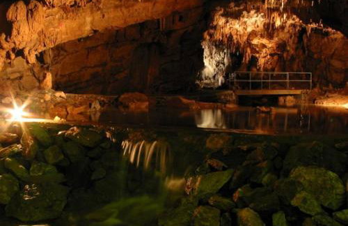 Apartman Patricia - Foto 49