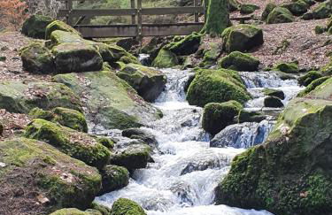 Haus Nordlicht - Foto 15