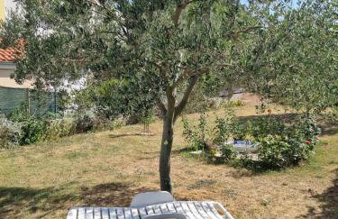 Family friendly seaside apartments Nevidjane, Pasman - 325 - Foto 11