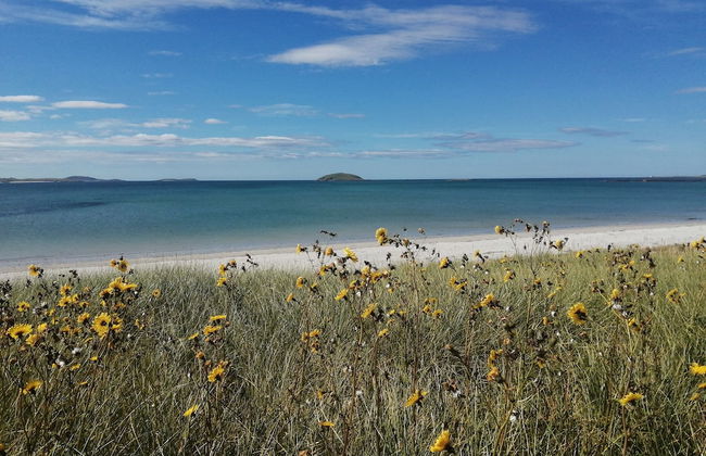 Pod Beag Beside the Sea, Isle of Eriskay - Photo 27