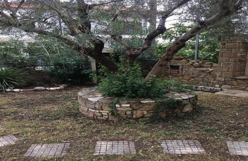 ASLANIS SOUROTI Family Home - Photo 30