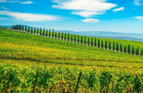 La casa di Elvira2 - Foto 36