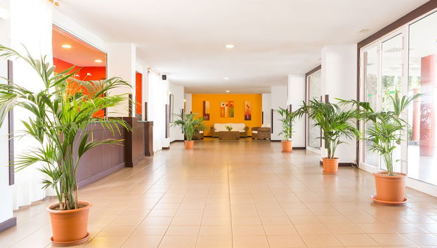 Apartamentos Centro Cancajos - Foto 2, Recepción