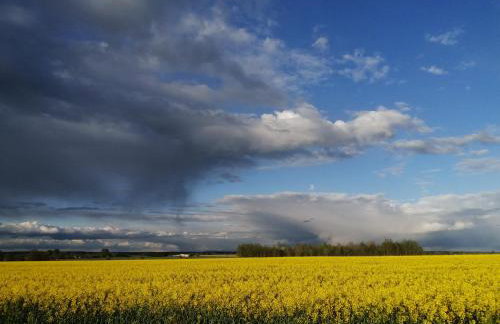 Przystanek Trześcianka - Foto 50