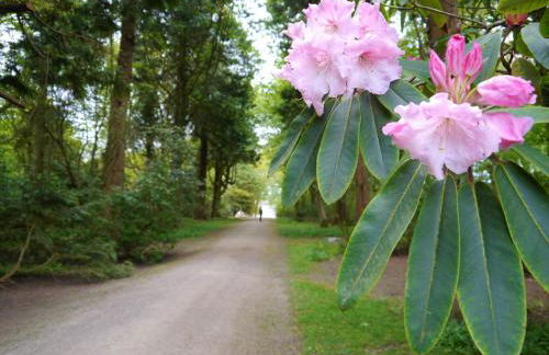 The Stables - Foto 33