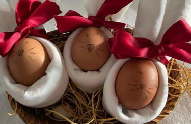 Casa dos Avós - Foto 25