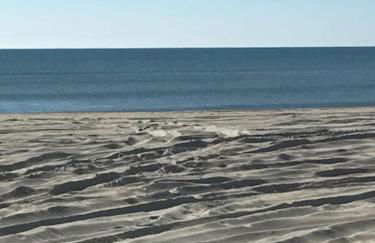 3BR Loft Cozy House Fishing Boating Views - Foto 7