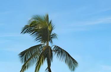 Mar e rio Orla Itacaré - Casa Flor - Foto 42