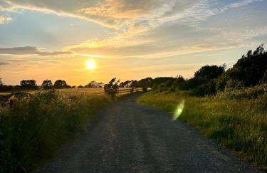 Natures Loft - Photo 10