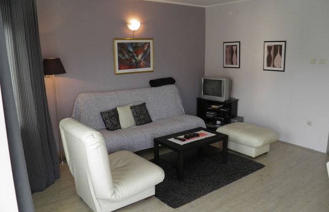 Vila Izvor - Foto 10