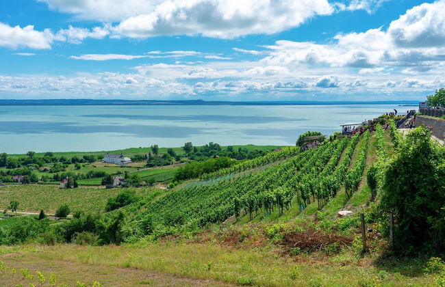 Lakefront Elegant Condo Lela - Foto 36