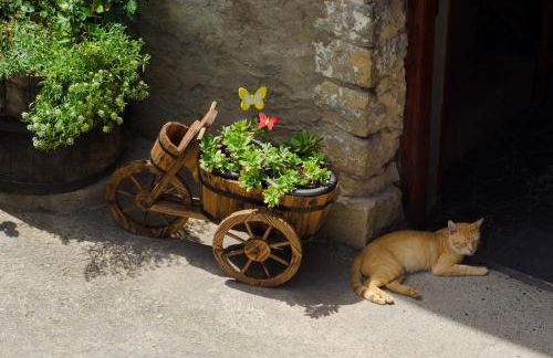 Borda Diego - Photo 13