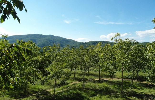 Scenic Stay in Restored Retreat - Foto 39