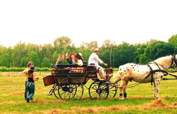 La Regina del Bosco - Foto 9