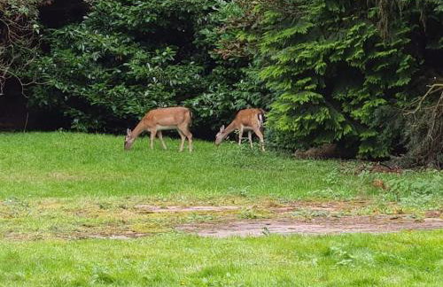 Beautiful cottage in Brentwood - Foto 10