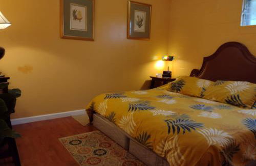 Pohaku Place - 3000 sqft of tropical charm spa - Foto 4