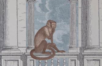 Ca' della Scimmia - Rialto - Venice - Foto 38