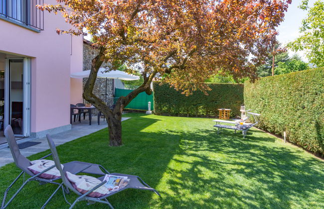 Orchidea (CCO555) - Foto 2