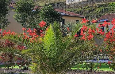 Le 1881 Ampuis - Foto 45