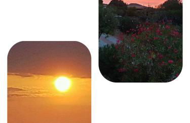 VILLA SABA - Foto 77