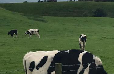 Breeze Place - Foto 6