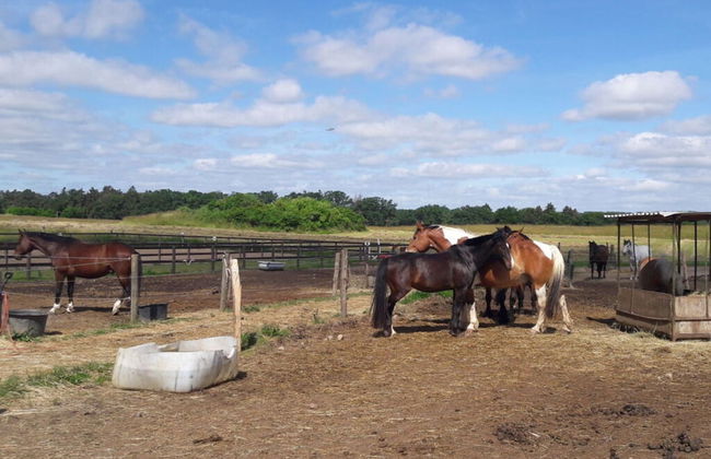 Old Zerwelin Forestry Company - Foto 12