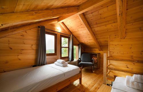 Ο κισσός - Foto 12