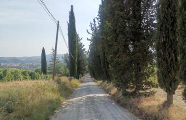 Tognazzi Casa Vacanze - Casa Dante - Foto 56