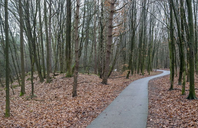 Attractive Holiday Home in Spier With Garden - Foto 28