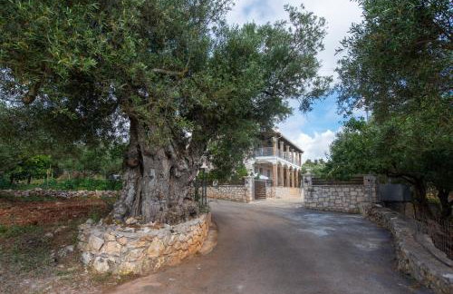 Melissa Luxury Apartments - Foto 12