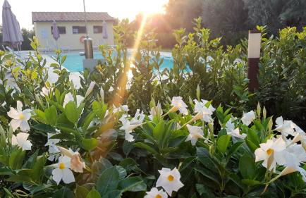 Punta dei Lecci - Foto 21