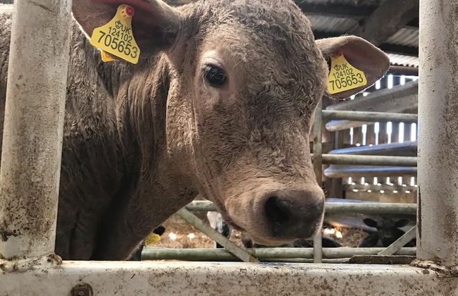 Braisty Woods - Knotty & Nice - Foto 12