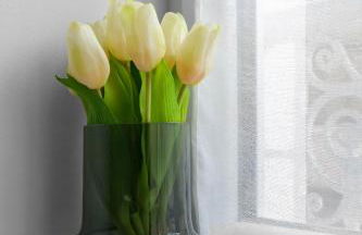 Résidence Gilbert - Appartements design centre ville - Foto 52