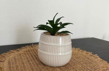 Studio le Cerisier - Foto 6