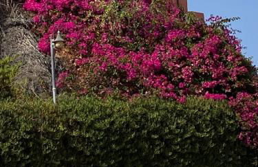 Besonderes Apartment mit einzigartigem Meerblick - Foto 28