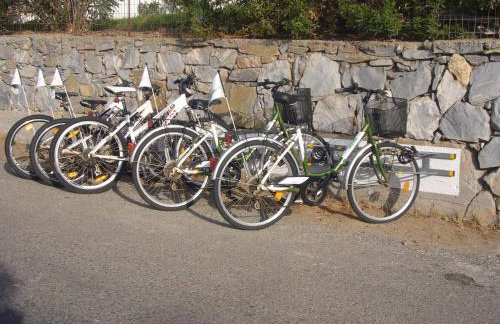 Elpida Andros - Foto 29