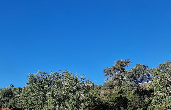 Tiny House Loulé Algarve no1 - Foto 9