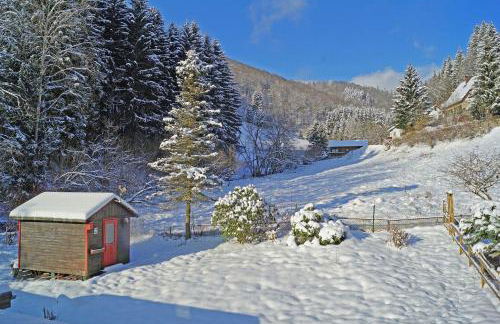Das-Urlaubszuhause-fuer-Familien-Grossfamilien-Mehrfamilien-und-kleine-Gruppen-bis-zum-12-Personen-mit-vielen-Unterhaltungsmoeglichkeiten-im-Harz - Foto 50