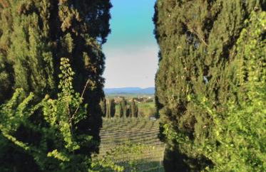 Villa with pool in Montepulciano - Foto 24