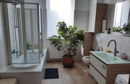 Gästewohnung Alt Salbke mit Küche - Foto 33