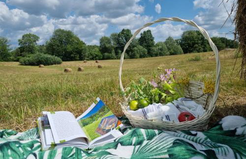 Wilczy Zew Private Spa & Nature - Foto 43