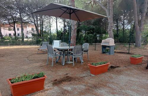 Riccio di Mare - Foto 20