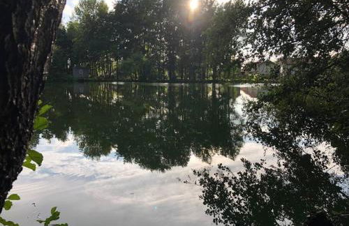 Le Cottage de l etang - Foto 23