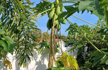 Port Charlotte Palms-Pet friendly, Heated Private Pool and Mini Orchard - Foto 62