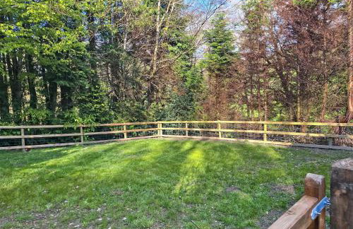 Glen Y Nant - Foto 17